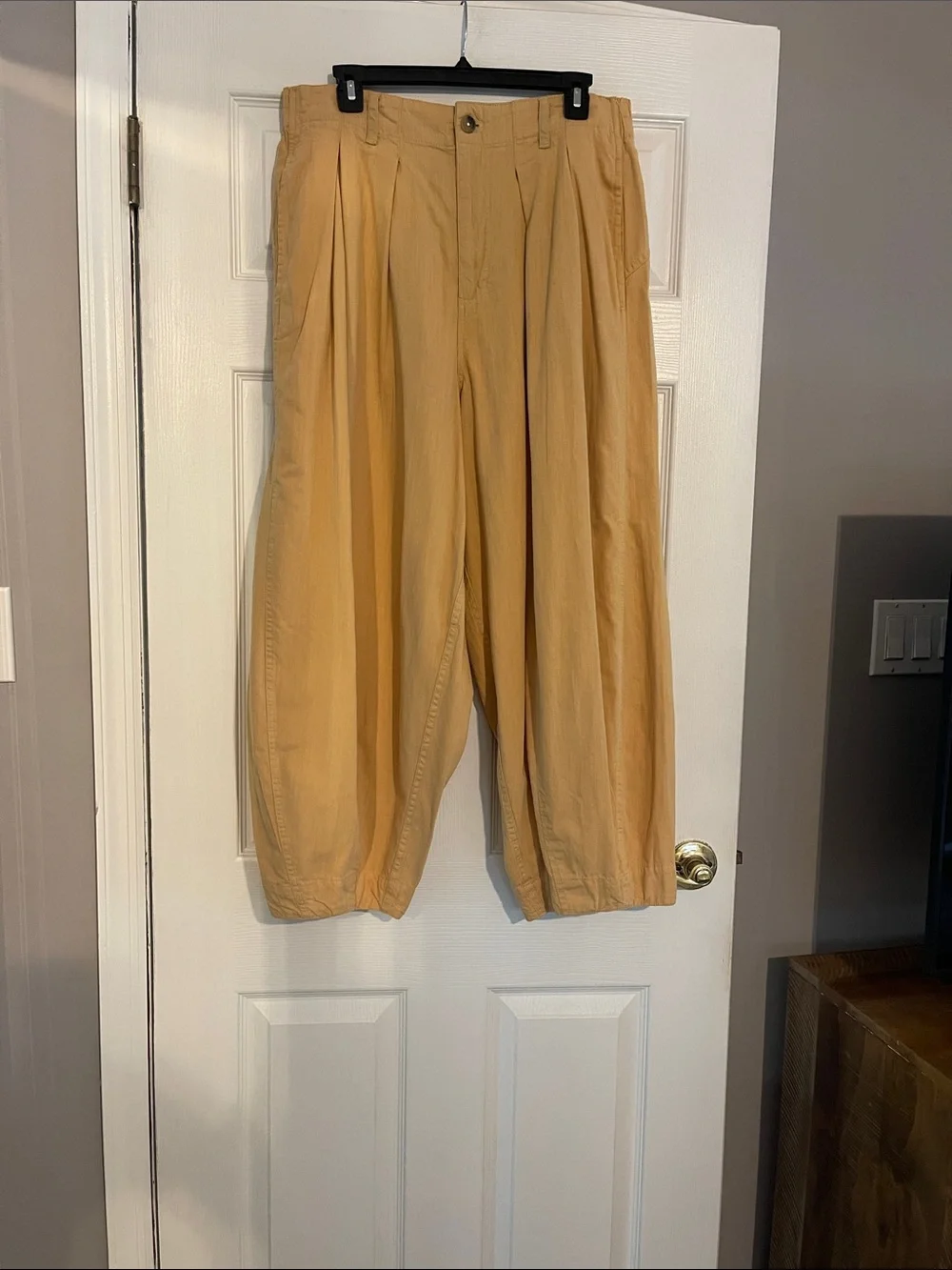 We The Free Wide Leg Pleated Pants - Picture 1 of 5